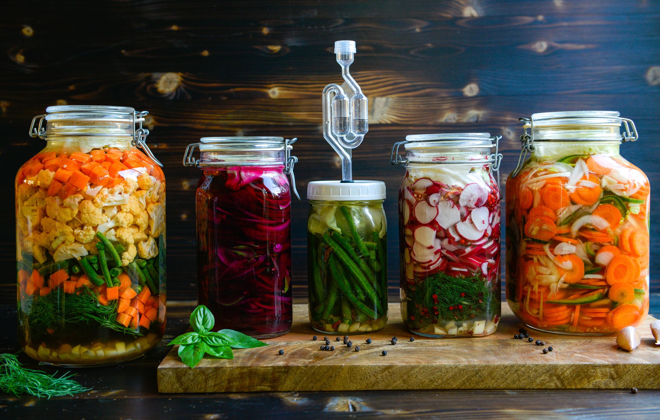 Role of Fermentation in Food Preservation
